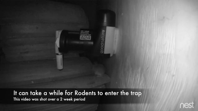A24 Rat Mouse trap Installation and operation смотреть онлайн