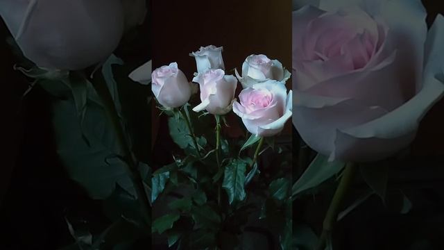 Свечи на восстановление ЖЕНСКОЙ энергии. Практическая магия. смотреть онлайн