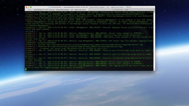 WLS on Docker - docker-compose смотреть онлайн