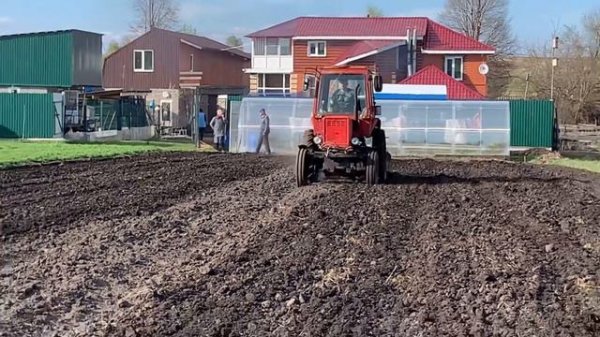 Культивация на Т-25 2021