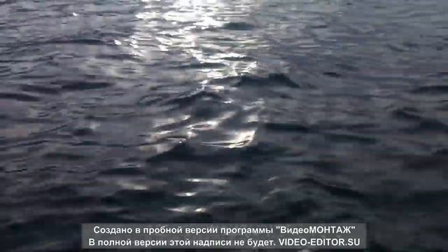 Рыба апостола Петра смотреть онлайн