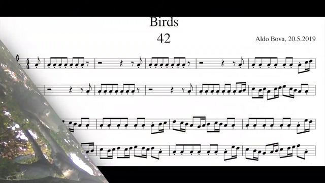 A. Bova, Birds n. 42 for 2 soprano recorders смотреть онлайн