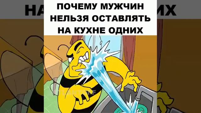 Почему Мужчин нельзя оставлять на кухне одиних смотреть онлайн