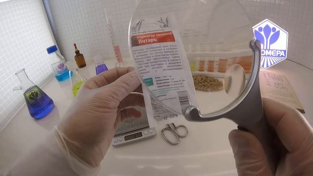 Кориандр овощной Янтарь. Поиск смотреть онлайн