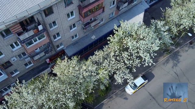 Уссурийск 2021 - Весеннее цветение смотреть онлайн