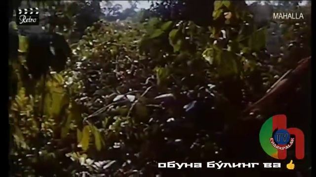 Илонлар водийсининг касофати узбек тилида •^• Ilonlar Vodiysining Kasofati Uzbek Tilida