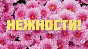 ПОЗДРАВЛЕНИЕ С ДНЁМ РОЖДЕНИЯ ДЛЯ НОННЫ 🌺 КРАСИВАЯ МУЗЫКАЛЬНАЯ ОТКРЫТКА 🌹КО ДНЮ РОЖДЕНИЯ 🎂 НОННА