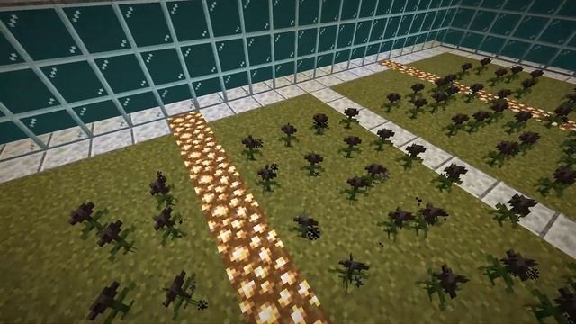 НОВЫЕ АДСКИЕ ФЕРМЫ В МАЙНКРАФТ 1.16(уже не работает) смотреть онлайн