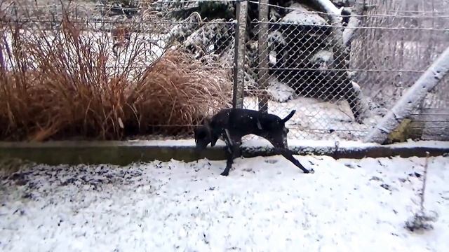 Sony Handycam HDR-PJ410 snowy test video смотреть онлайн