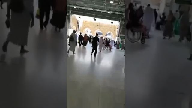 Vlog no-6, https://www.facebook.com/profile.php?id=100086436488431 смотреть онлайн