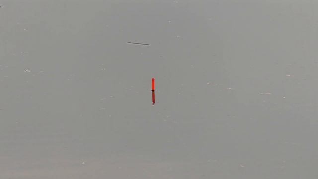 рыбалка на поплавок, первый карась на удочку! рыбалка 2023 в апреле КРУПНЫЙ ПЛАН!