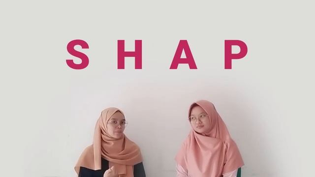 Shapley Additive Explanation смотреть онлайн