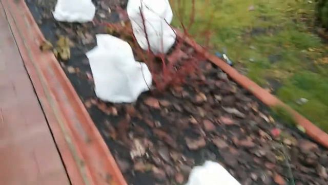 Укрытия для роз Даяс смотреть онлайн