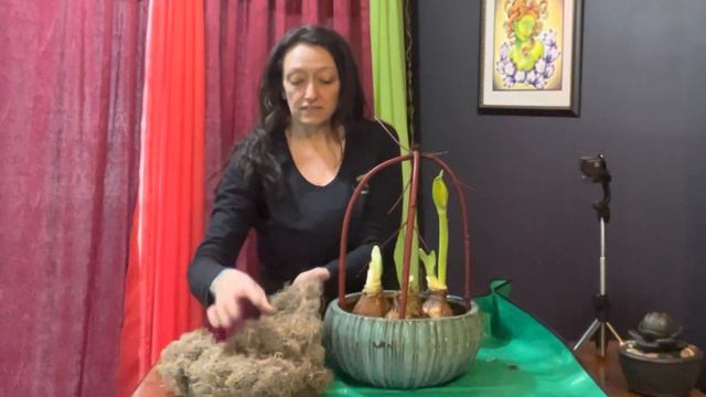 How to create a Support Cloche plus 2 ways to plant Paperwhite bulbs. смотреть онлайн