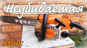 Сосед соседу... Почему выбирают бензопилу Stihl 180?