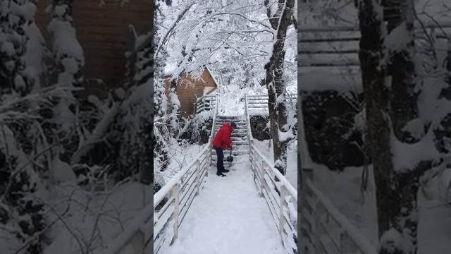 Подрабатываю дворником на Чабгарском карнизе в Абхазии. Спасибо гостье за видео и добрые слова. смотреть онлайн