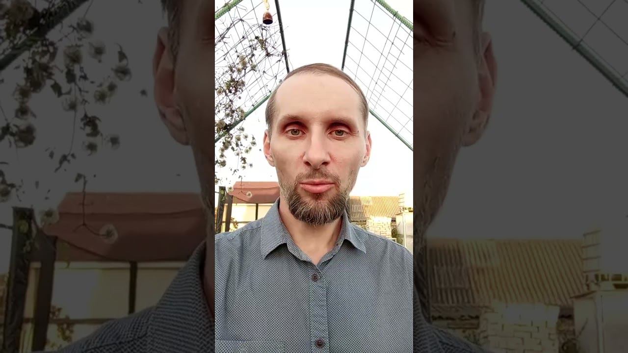 Форсаж для ВК смотреть онлайн