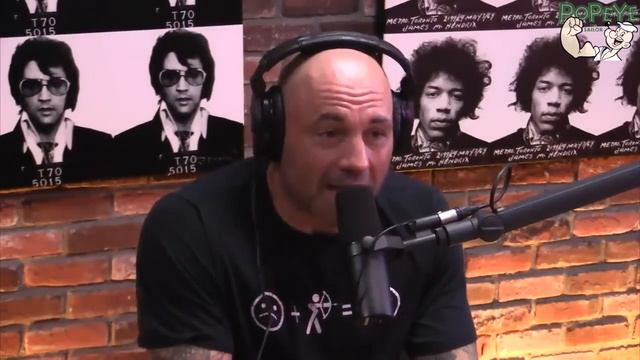 Джо Роган о дуэли взглядов, Фёдоре, Крокопе и Вандерлее, и сучках в европейском футболе. смотреть онлайн