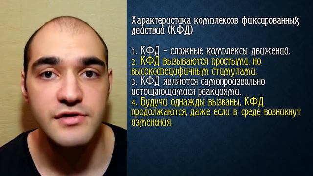 История зоопсихологии. Иерархия инстинктов по Тинбергену.