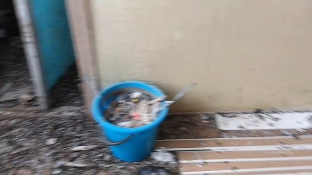 08.11.23. тетеревятник в Кондрово. смотреть онлайн