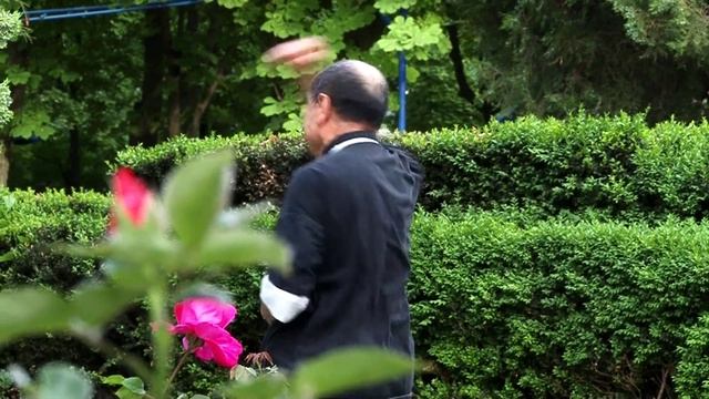 Bajiquan by wushu master Mu Yuchun смотреть онлайн