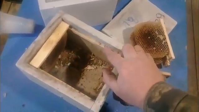 Самый простой нуклеус