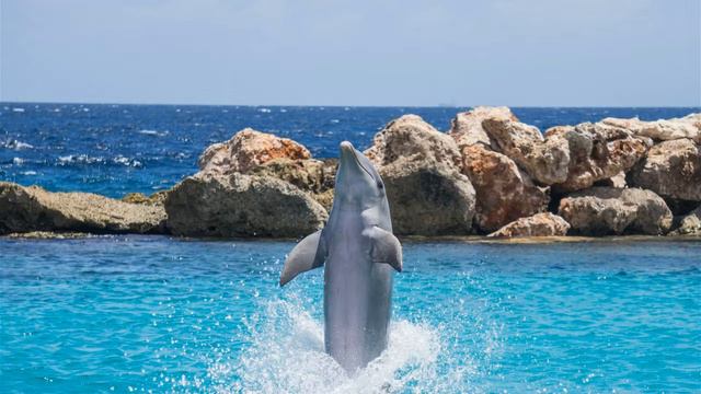 медитация 2 от 13 01 19г Море чувств смотреть онлайн