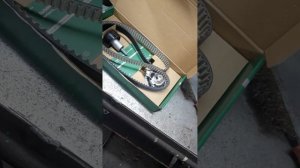 Комплект ремня ГРМ Borsehung для vag с двигателей серии ea 211 1.6 mpi (cwva, cwvb) 1.4tsi