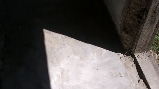 Мы на даче // нашли озеро смотреть онлайн