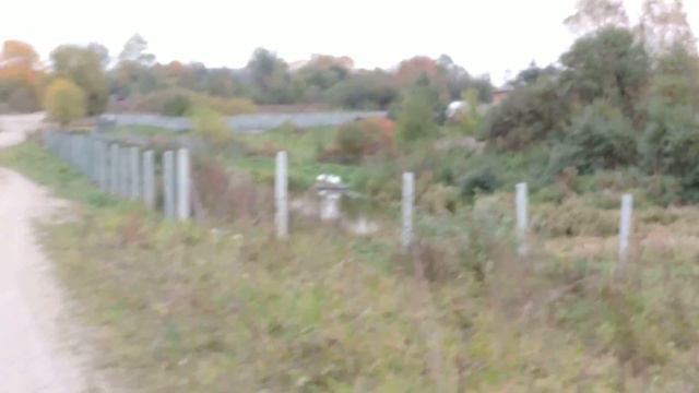 Калининградская область Гусевский район посёлок Красногорское 3 смотреть онлайн