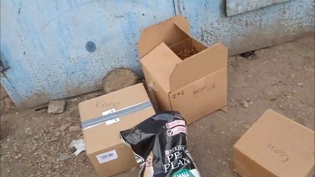 Покупки, подарки приюту. /Приют для собак г. Ефремов. смотреть онлайн