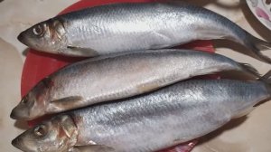 РЕЦЕПТ БОЖЕСТВЕННОЙ МАЛОСОЛЬНОЙ СЕЛЕДКИ _ ПРОСТОЙ ДОМАШНИЙ ПОСОЛ