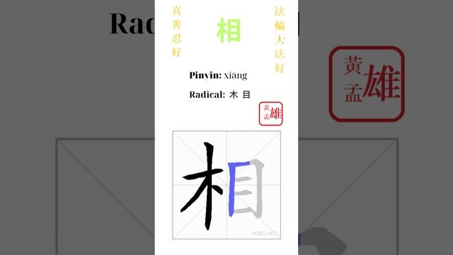 422. 相 | #gohome #cultivation #divine #god #buddha #chinese #enlightened #dafa #qigong #falun смотреть онлайн