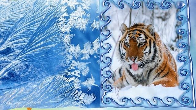 Новый год 2022 Год тигра смотреть онлайн