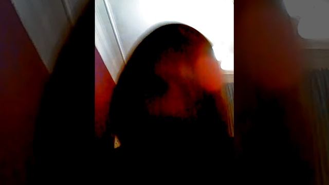 стихи Заболоцкого (читает Лёша Рафиев) смотреть онлайн