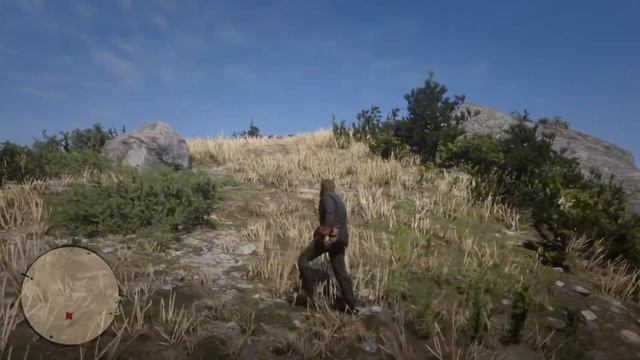 RED DEAD REDEMPTION 2, PS4 , Арабская дикая лошадь, коричневая с полосами) Карта, горы смотреть онлайн
