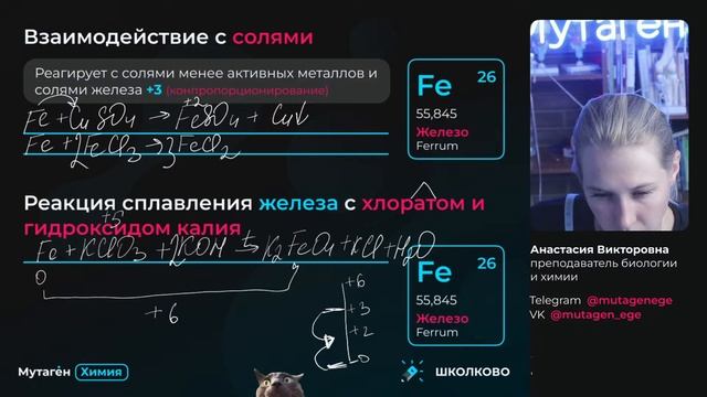 Летний курс по химии | Химические свойства железа и соединений смотреть онлайн