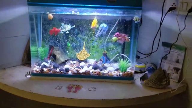 Artificial Fish Aquarium at Udaipur -2 смотреть онлайн