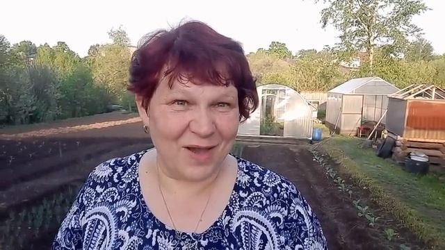 Самая важная ПОДКОРМКА для ЛУКА весной!!?? Сделайте это для Хорошего урожая ЛУКА ❗❗❗ смотреть онлайн