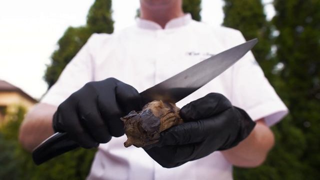 TRITONIA смотреть онлайн