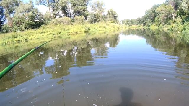 Рыбалка на поплавок в жару 19 июля 2021.вечерний клёв. смотреть онлайн