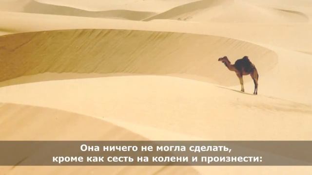 Милосердие к человечеству Мухаммад ﷺ смотреть онлайн