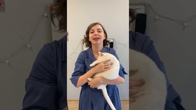 This is my cat. Homework for kids смотреть онлайн