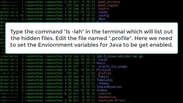 Java 6 (Oracle JDK 6), How to install in Deepin OS 15.4 | Java SE 6 Update 45 смотреть онлайн
