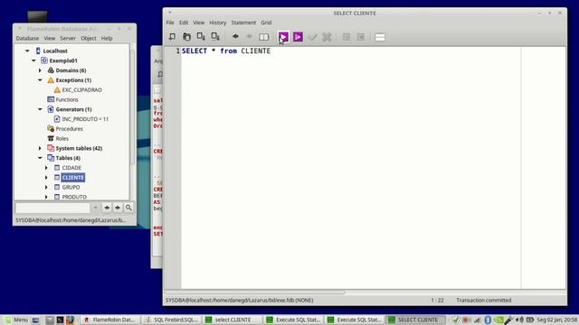 Curso Firebird SQL 18 - Exception смотреть онлайн