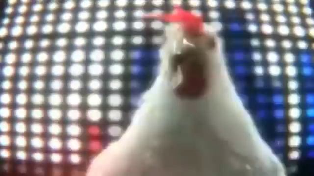 Смешная музыка куриц :) смотреть онлайн