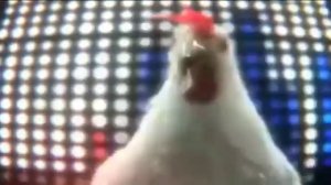 Смешная музыка куриц :)