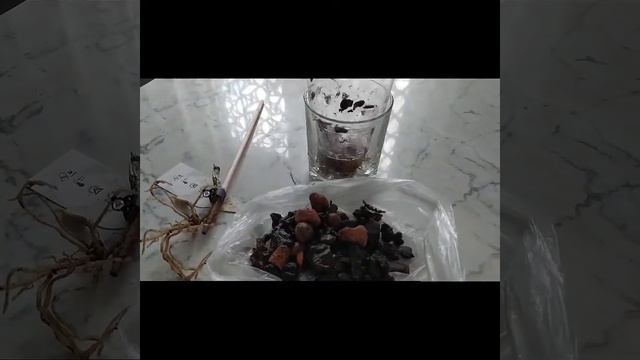 Мой Dendrobium Nobile стал реанимашкой. смотреть онлайн