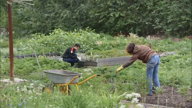 Ботанический сад УрО РАН смотреть онлайн