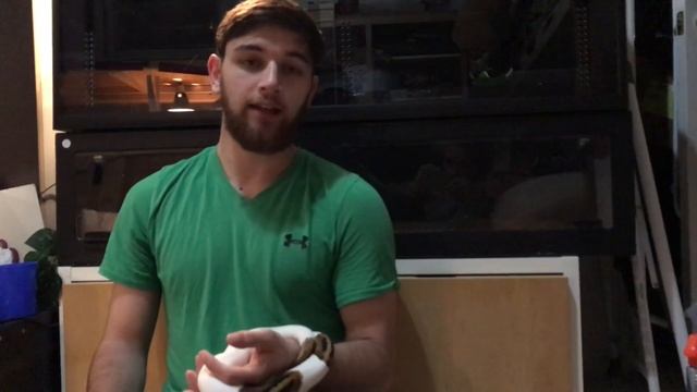 Non-feeding Ball pythons: how to get your ball python eating again смотреть онлайн